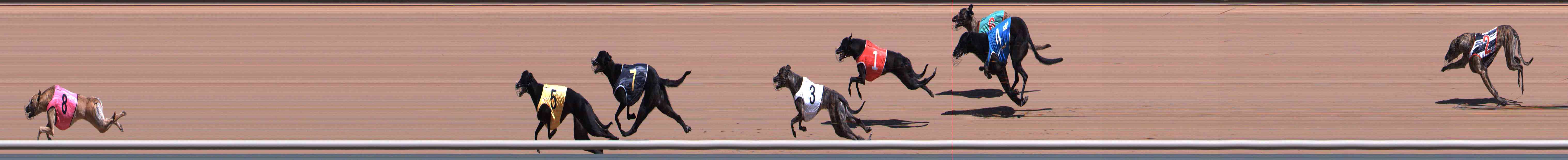 Race result finish photo